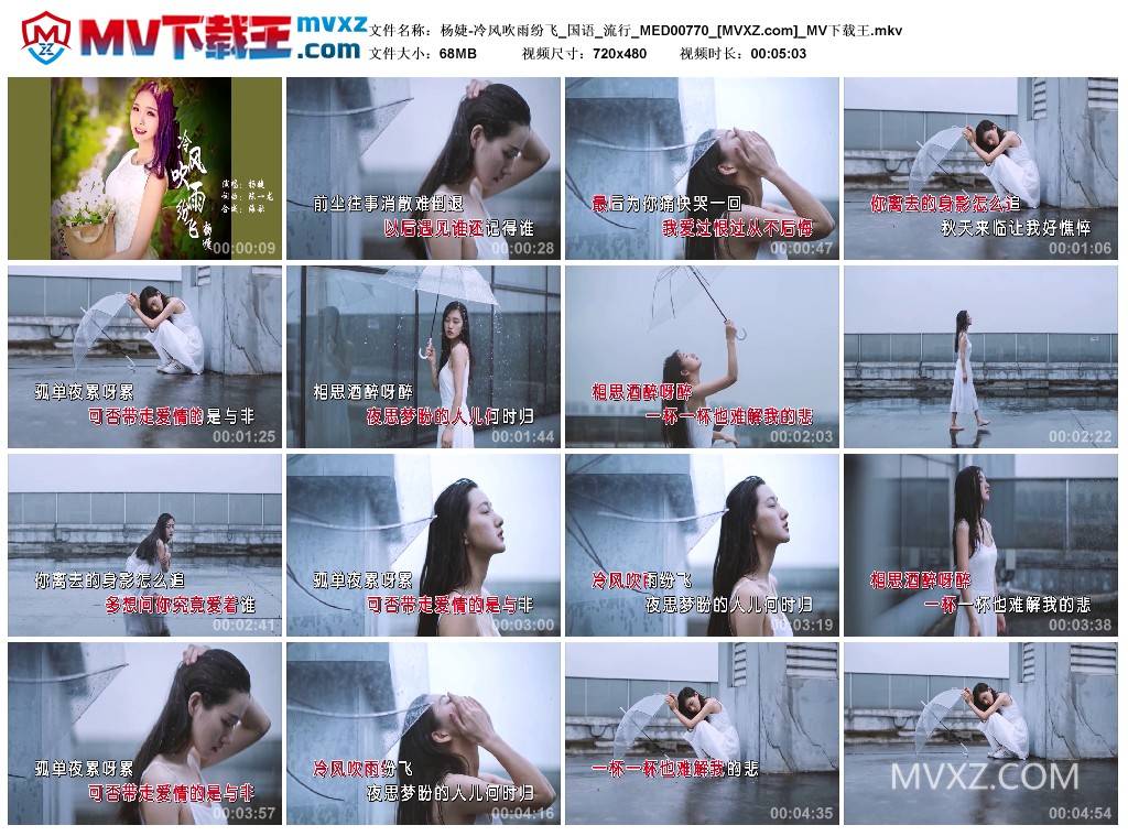 杨婕-冷风吹雨纷飞_国语_流行_MED00770